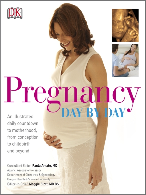 Cover image for Pregnancy Day By Day